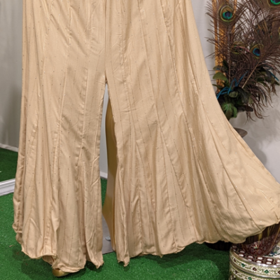 Beige(nude) Color Kalidar Palazzo Pants with Sequin(Tikki) work