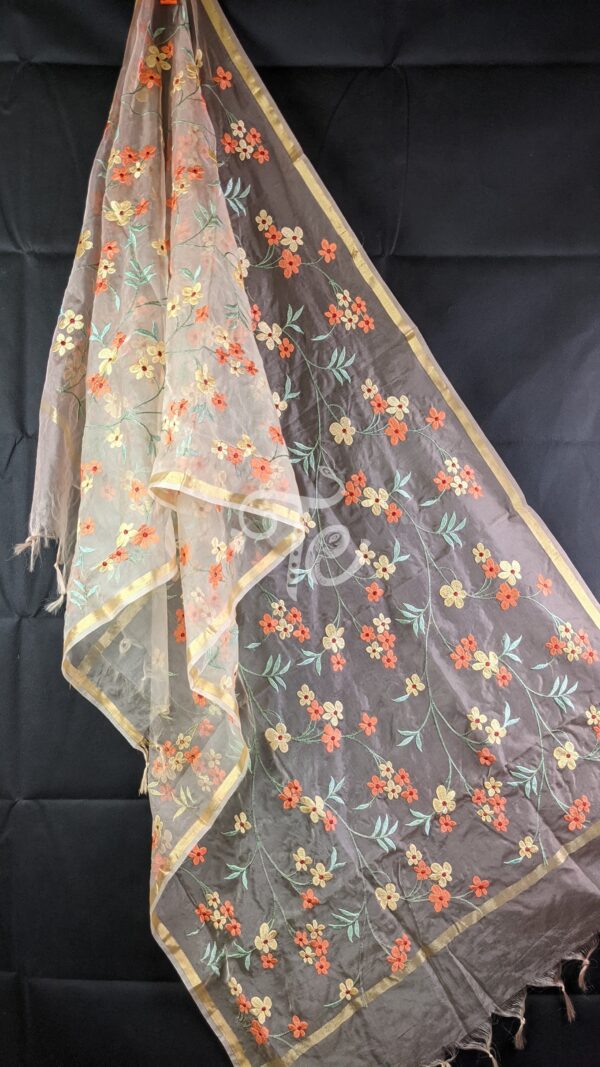 Organza Resham Embroidered Banarasi Dupatta/Stole